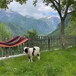 Thethi Paradise & Restaurant