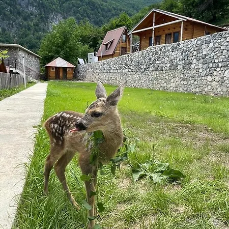 팜스테이 Thethi Paradise & Restaurant *