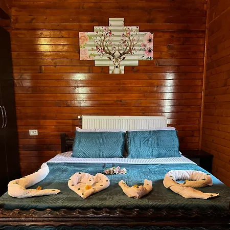Alojamento de Turismo Rural Thethi Paradise & Restaurant
