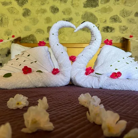 Thethi Paradise & Restaurant 세스