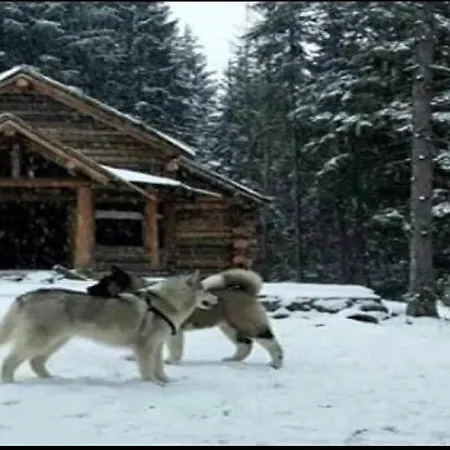 Thethi Paradise & Restaurant 팜스테이 세스