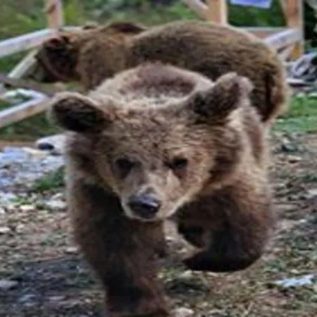 팜스테이 Thethi Paradise & Restaurant *