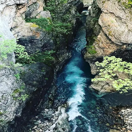 Thethi Paradise & Restaurant 팜스테이