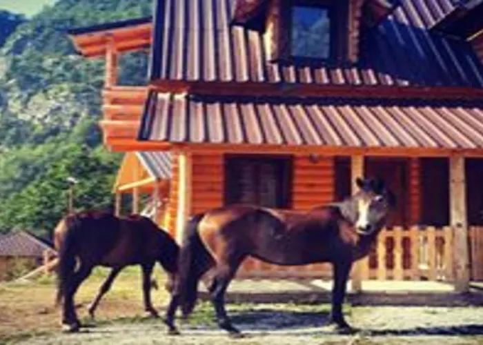 Κατάλυμα σε φάρμα Thethi Paradise & Restaurant