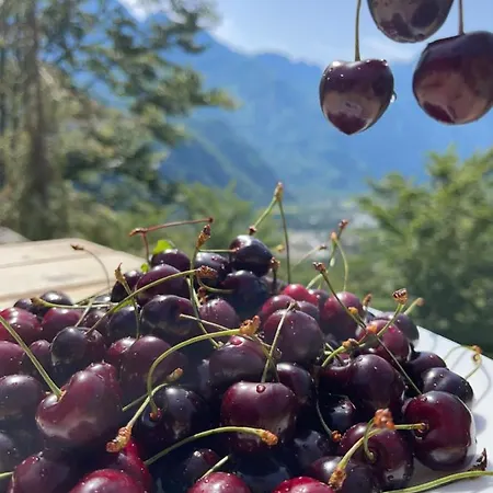 Thethi Paradise & Restaurant مزرعة للإقامة