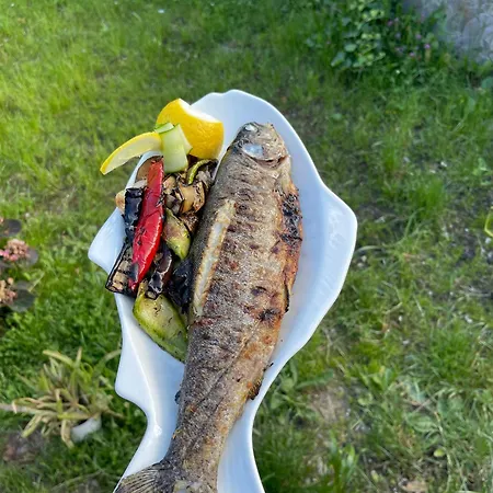 Thethi Paradise & Restaurant 农家乐 泰斯