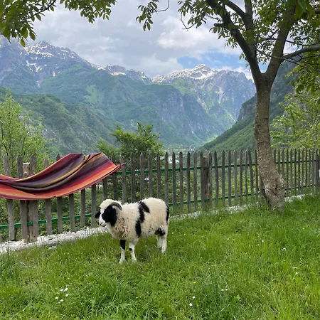 Thethi Paradise & Restaurant