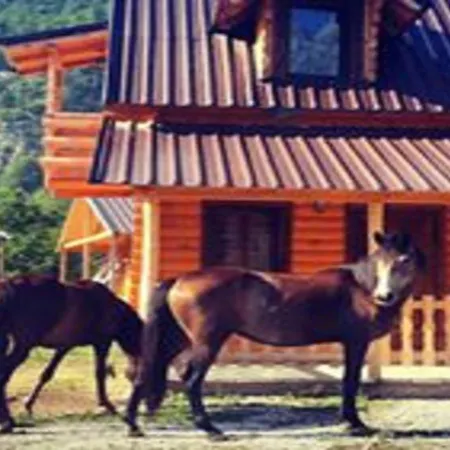 Farm stay Thethi Paradise & Restaurant