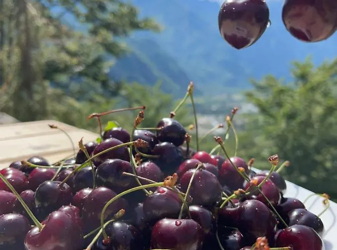 Thethi Paradise & Restaurant مزرعة للإقامة