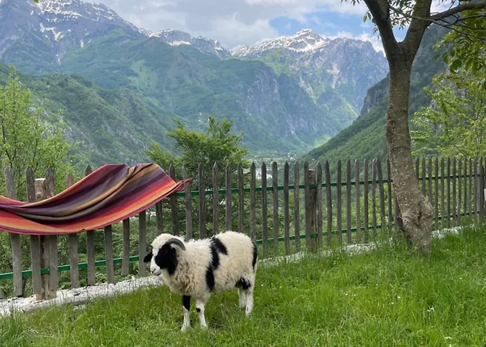 Thethi Paradise & Restaurant