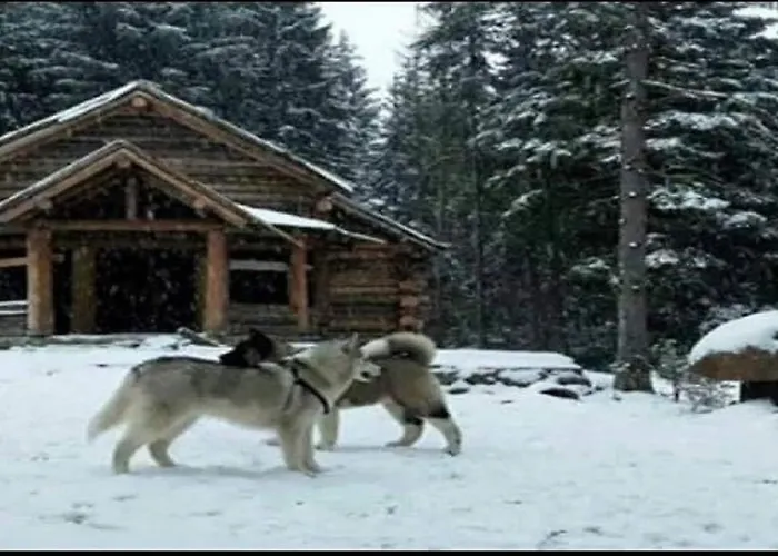 Thethi Paradise & Restaurant Farm stay Theth