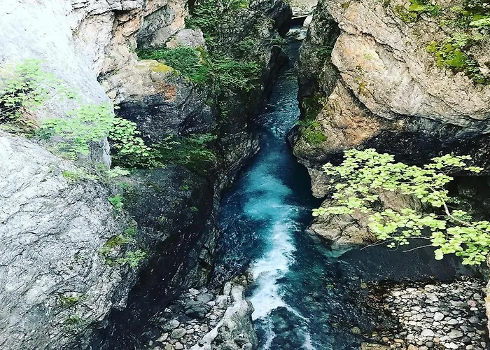 Thethi Paradise & Restaurant Farm stay